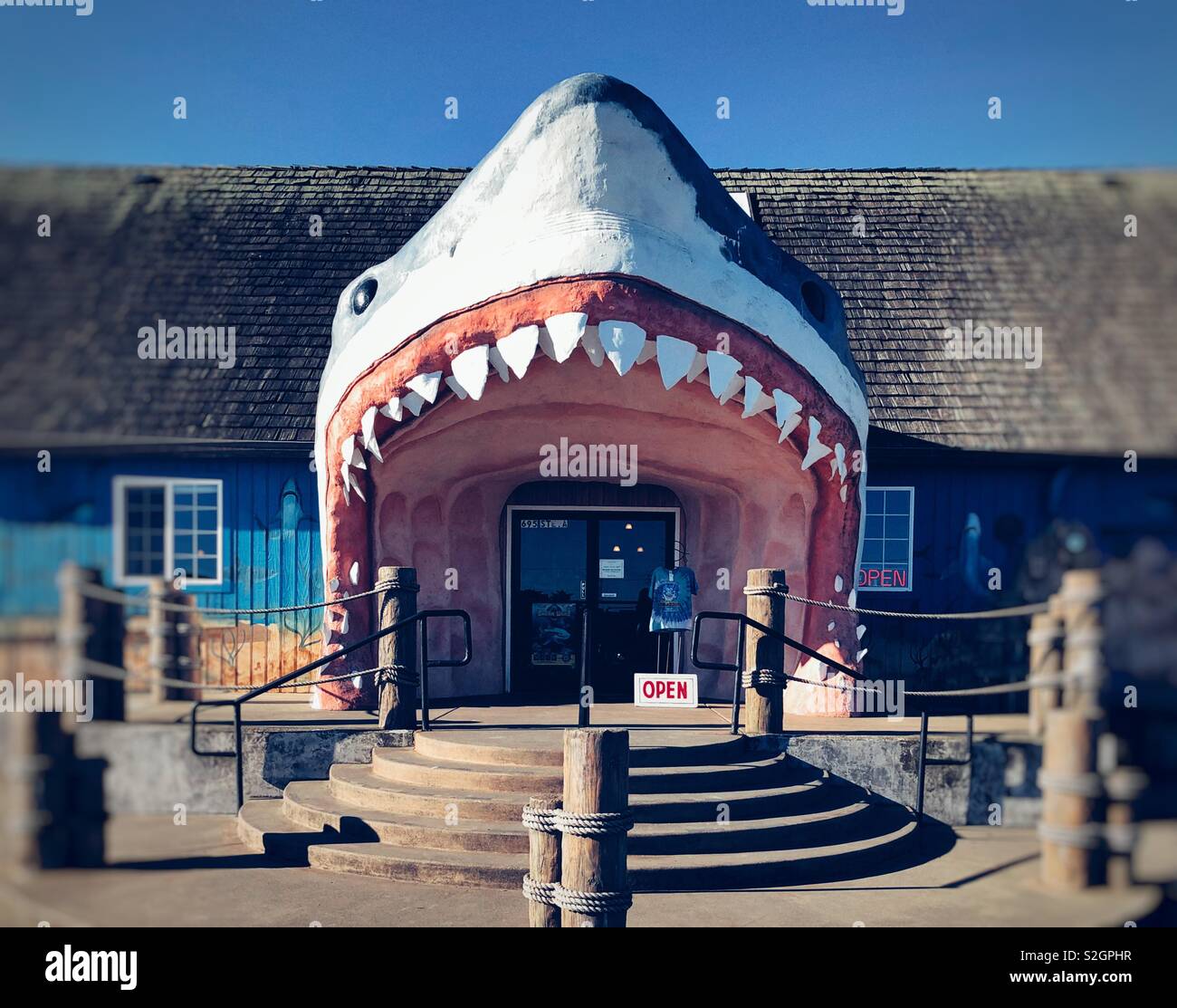 Entrata al negozio regalo a forma di gigante di squalo aperto la testa piena di denti in Ocean Shores, WA Foto Stock