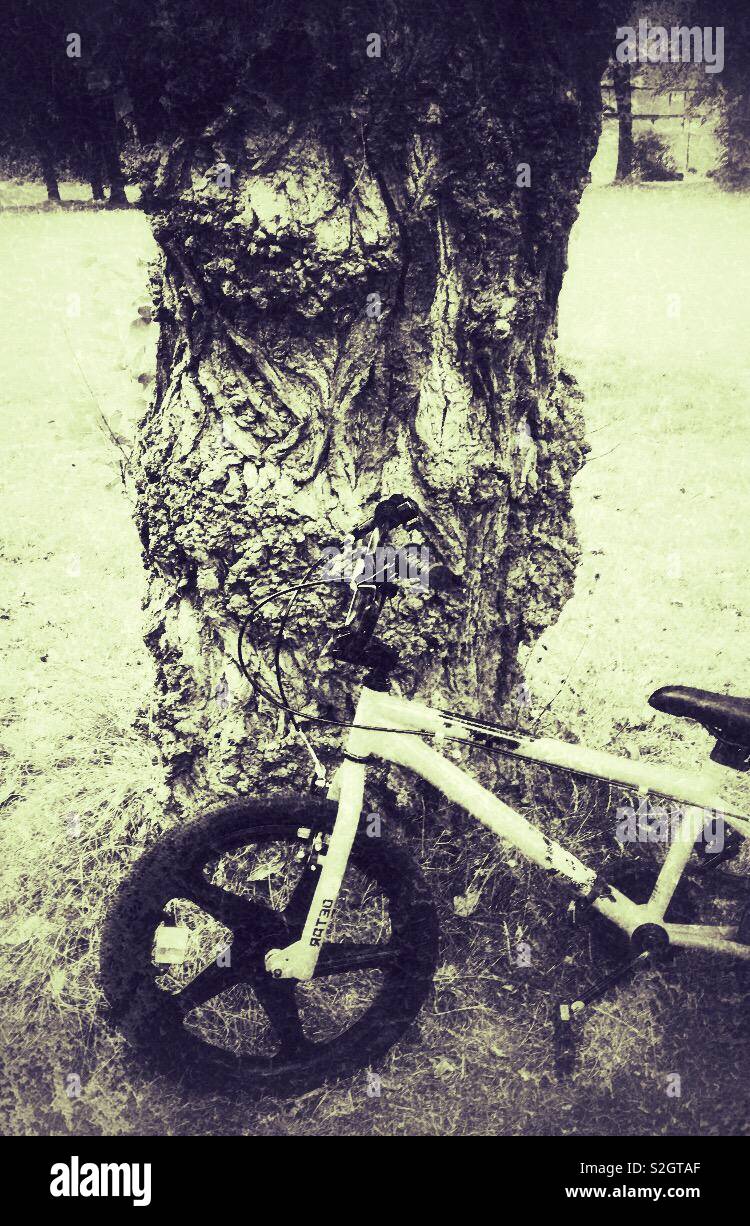 Per bambini noleggio appoggiata contro un albero (con filtro grunge aggiunto) Foto Stock