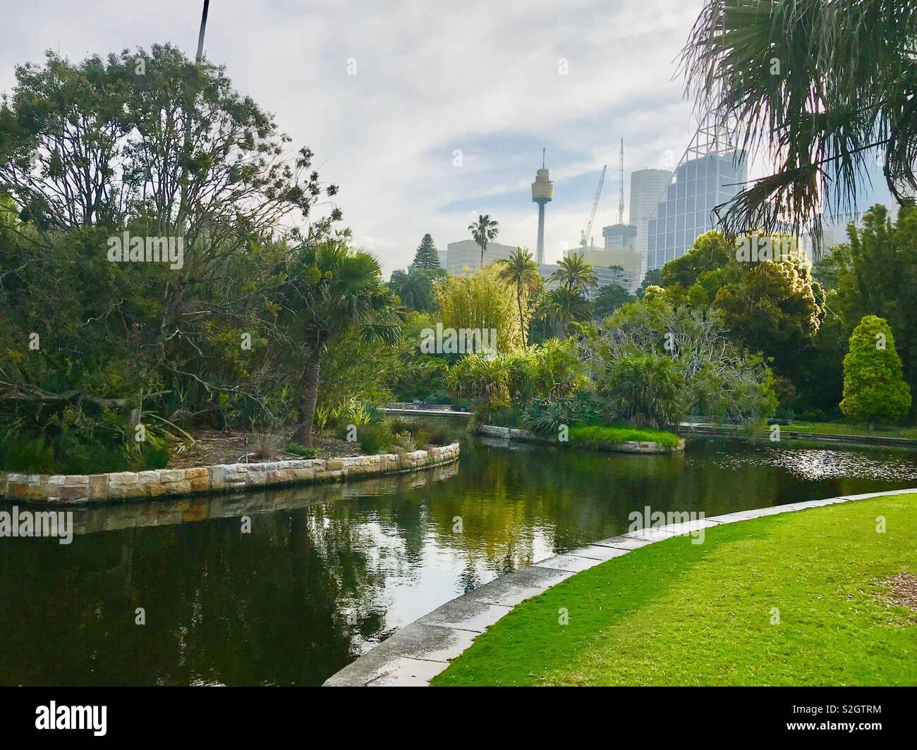 Il bellissimo giardino botanico lago con skyline di Sydney in background, Australia, NSW Foto Stock