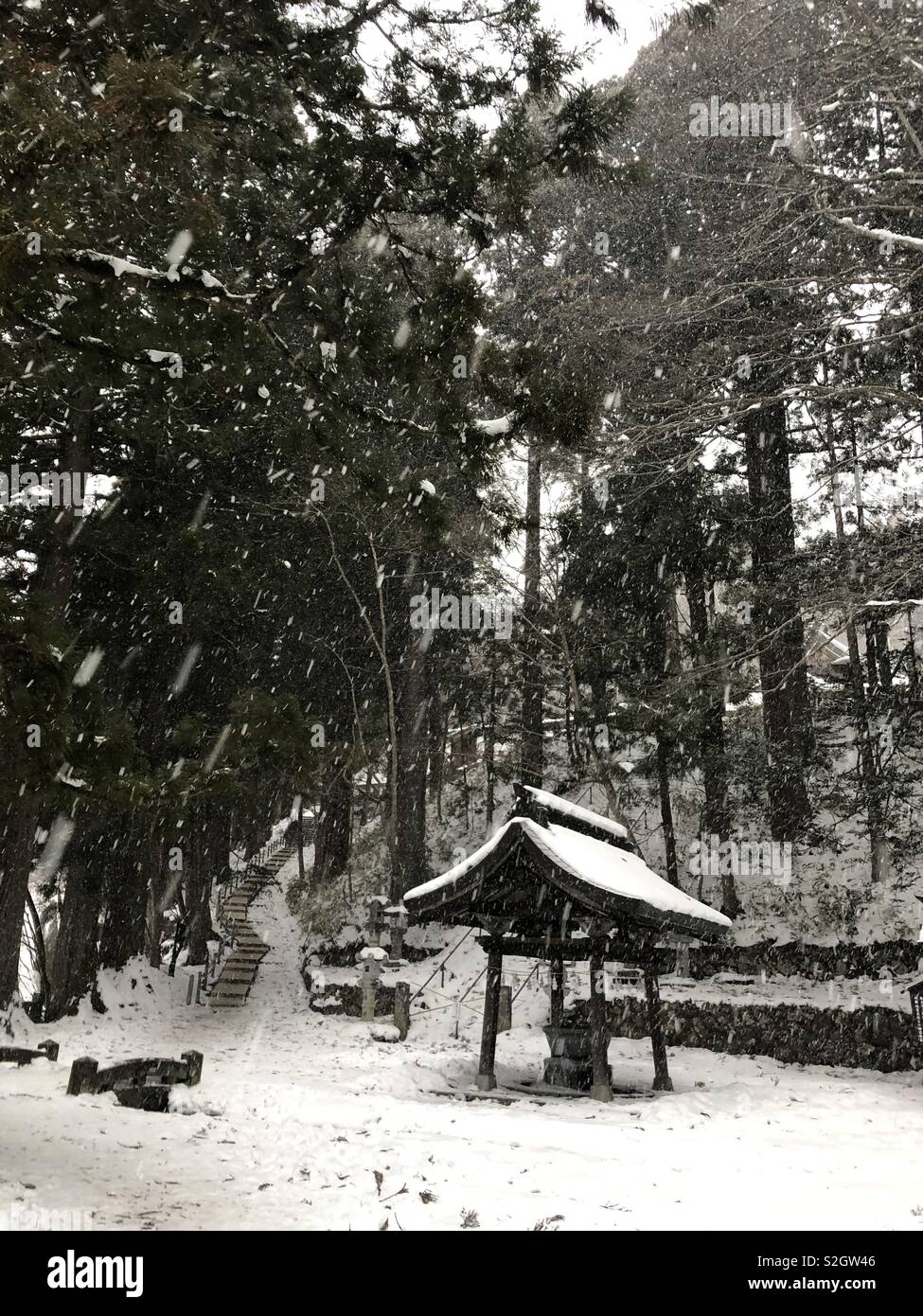 Il Giappone. Parco tranquillo. Nevicava. Foto Stock