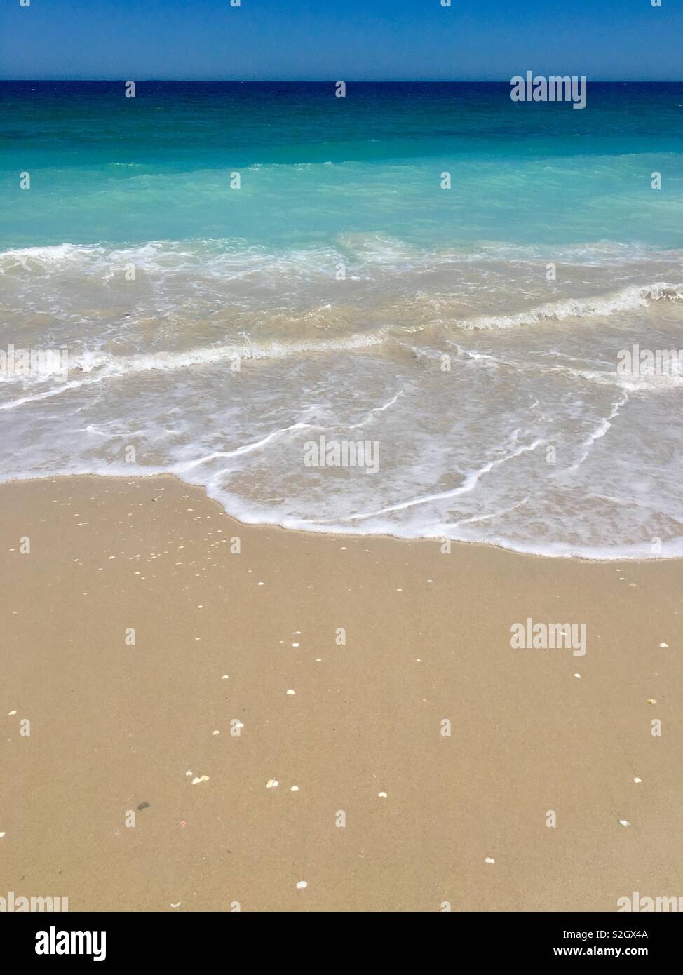 Sole, mare, sabbia e conchiglie Foto Stock