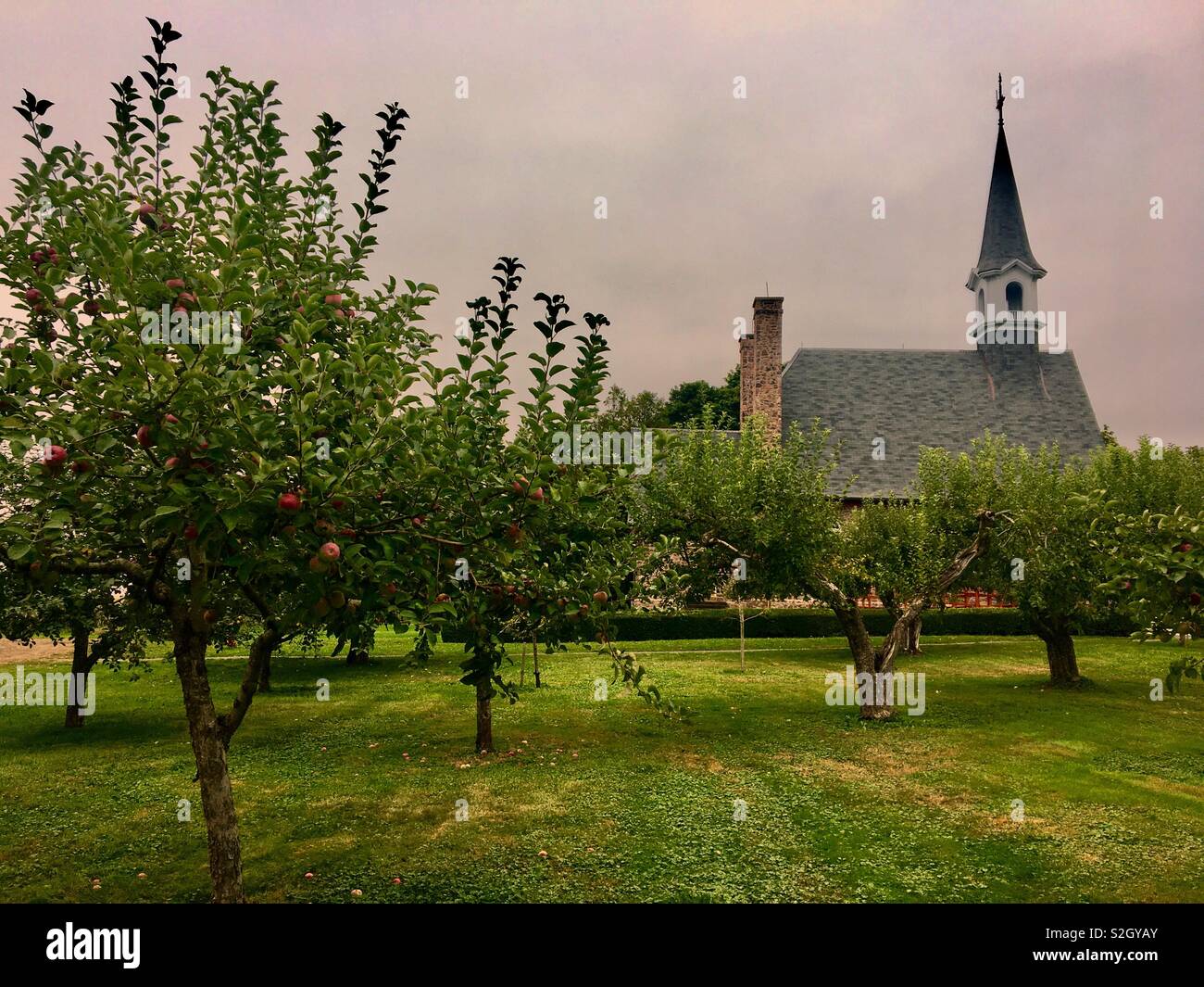 Apple grove con Arcadian chiesa in background Foto Stock