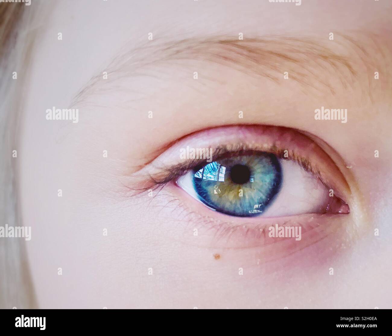Close up bambino occhi blu - Immagine stock catturata con smartphone