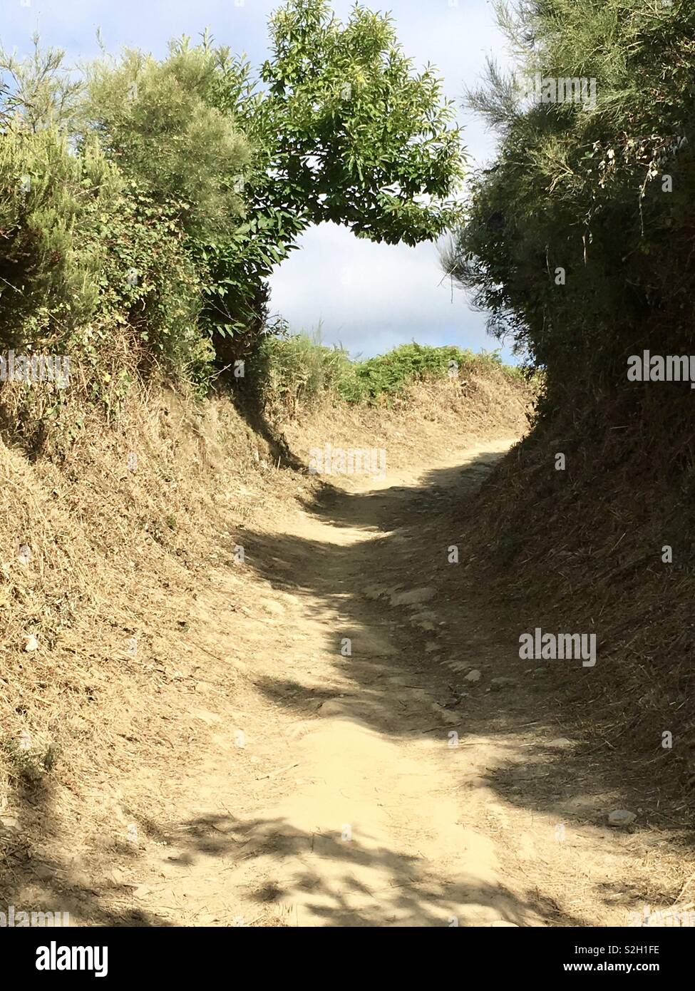 Camino de Santiago Trail Foto Stock