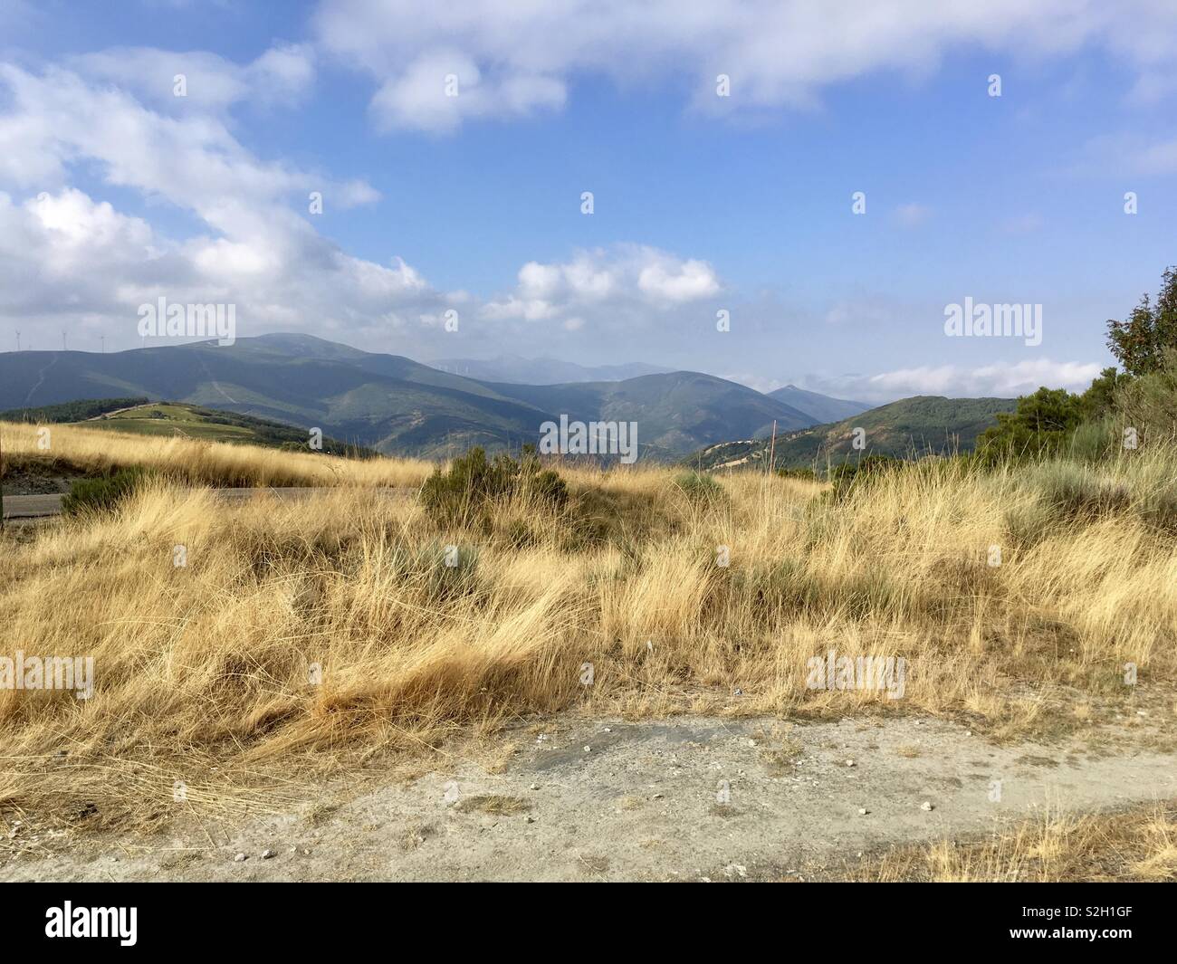 Camino de Santiago scena della montagna Foto Stock