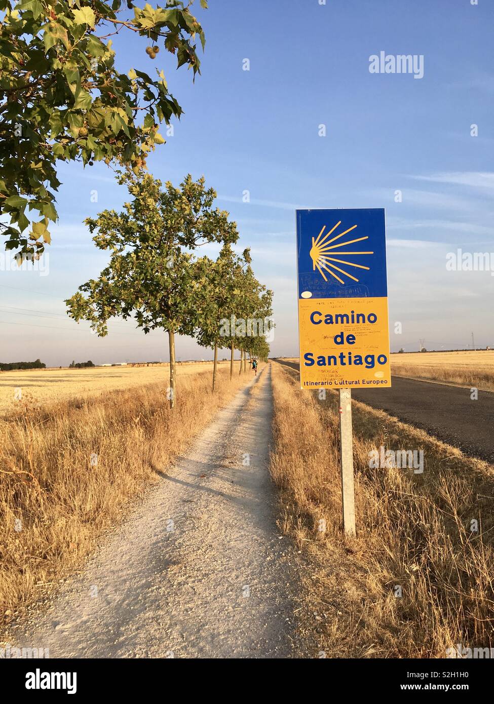 Camino de Santiago lato strada travel Foto Stock