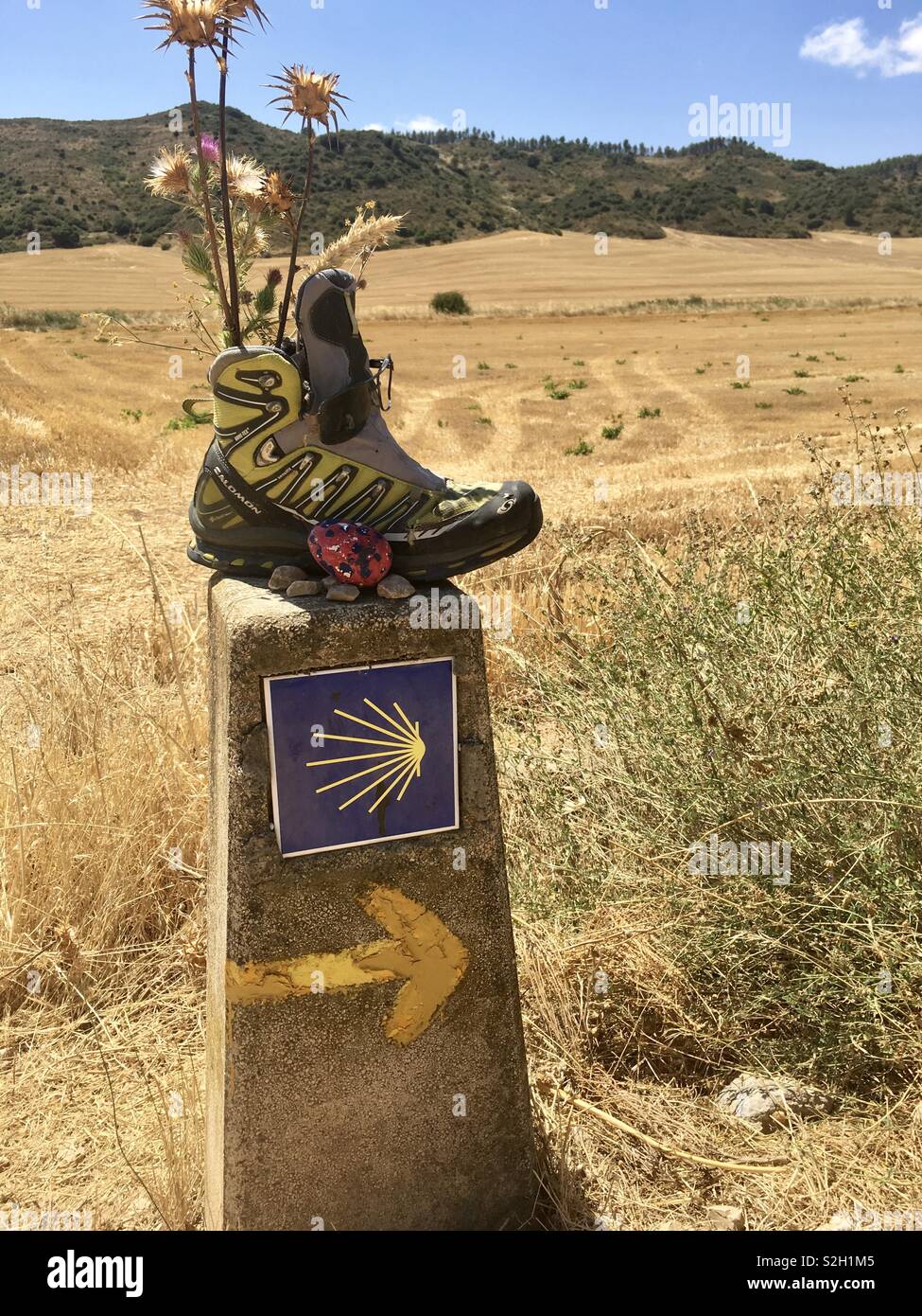 Camino de Santiago campi aperti e segnavia Foto Stock