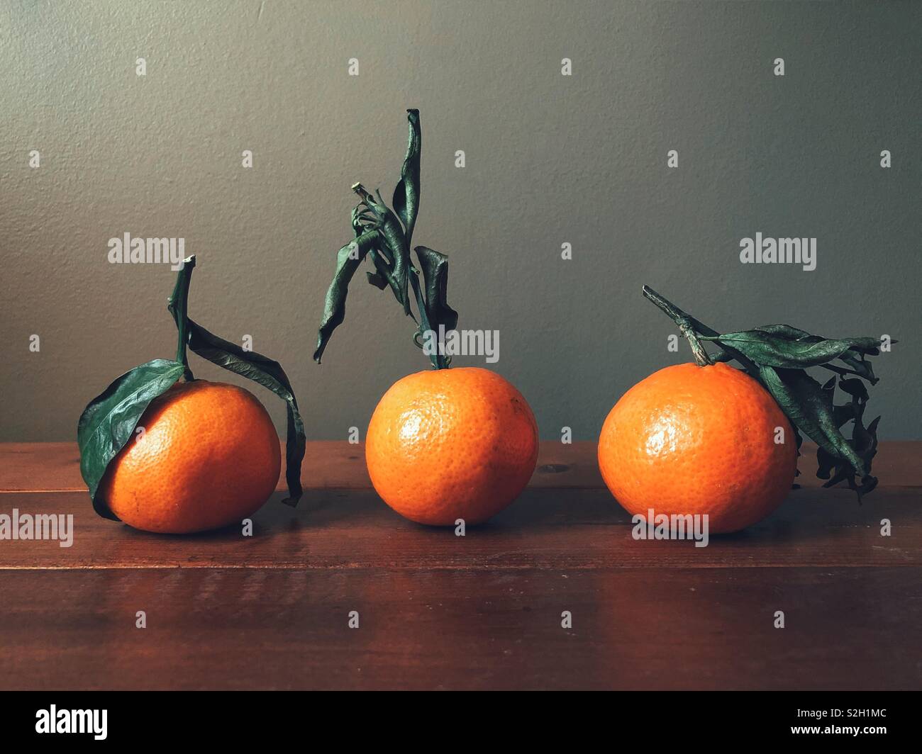 Tre le clementine con steli su una superficie in legno con sfondo grigio Foto Stock