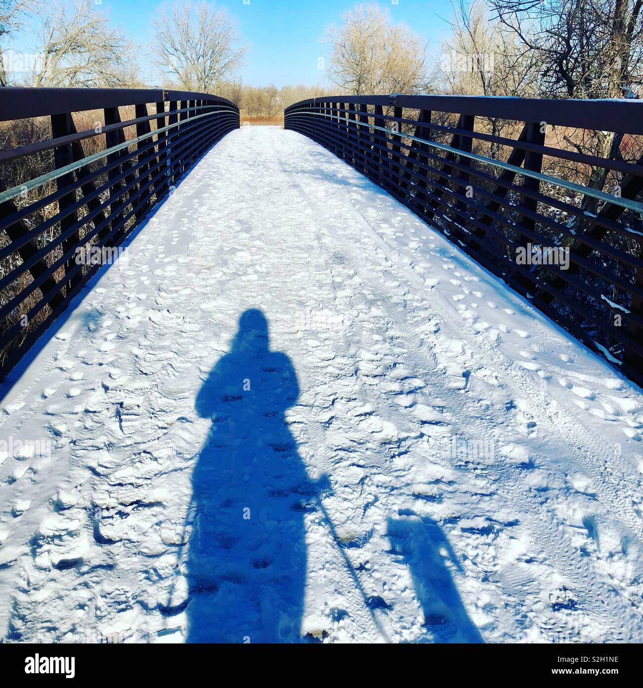 Passeggiate con il cane in una fredda giornata Foto Stock