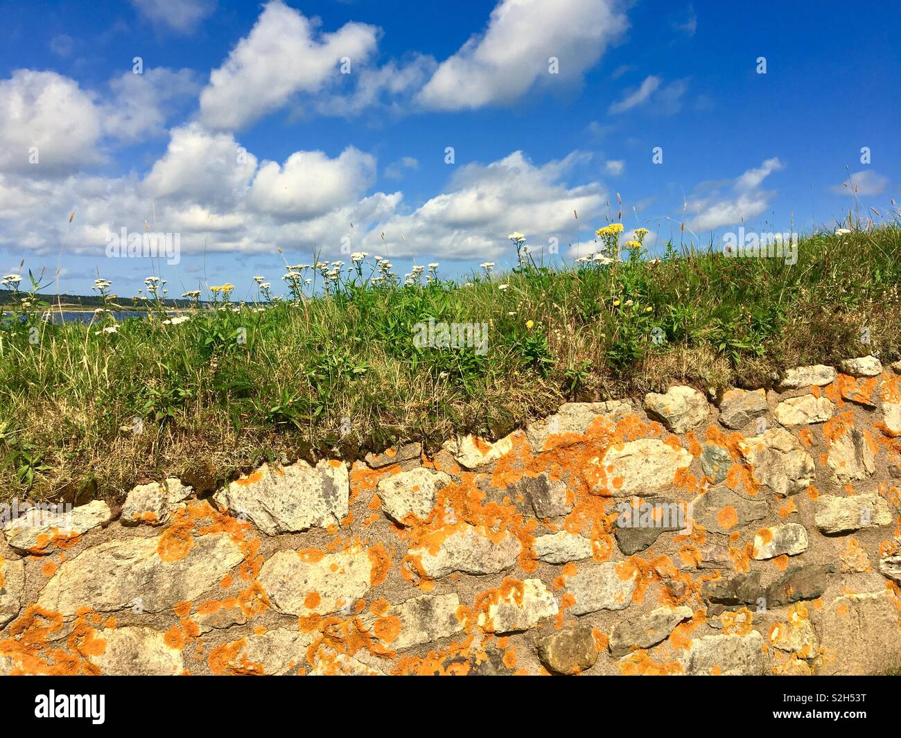 Muro di pietra con erba, fiori selvatici e sky con puffy nuvole bianche - Immagine stock catturata con smartphone