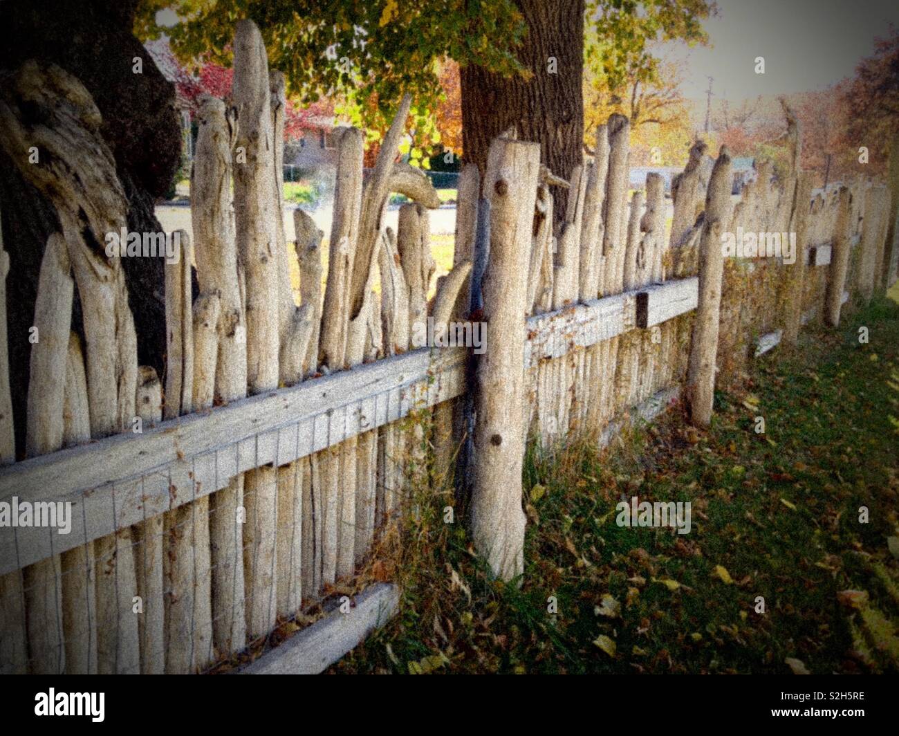 Driftwood recinto sul mese di novembre - Immagine stock catturata con smartphone