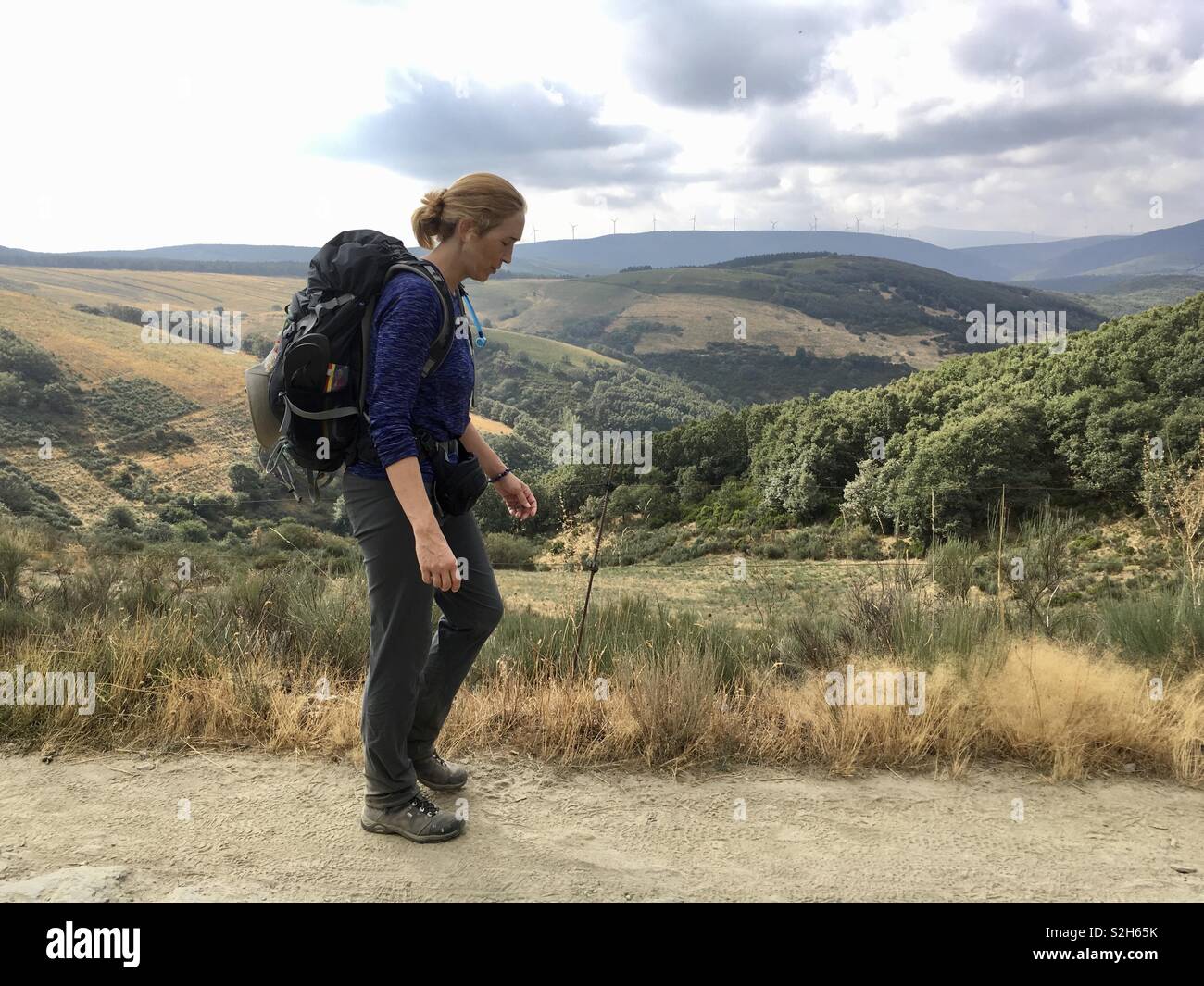 Camino de Santiago Foto Stock