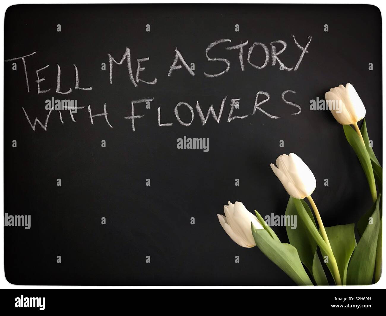 Chalk Board e tulipani - Immagine stock catturata con smartphone