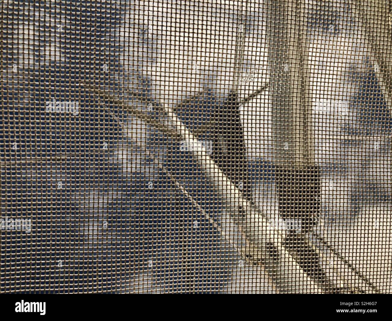 Guardando attraverso lo schermo a maglie sulla finestra aperta di una barca a vela in Florida Foto Stock