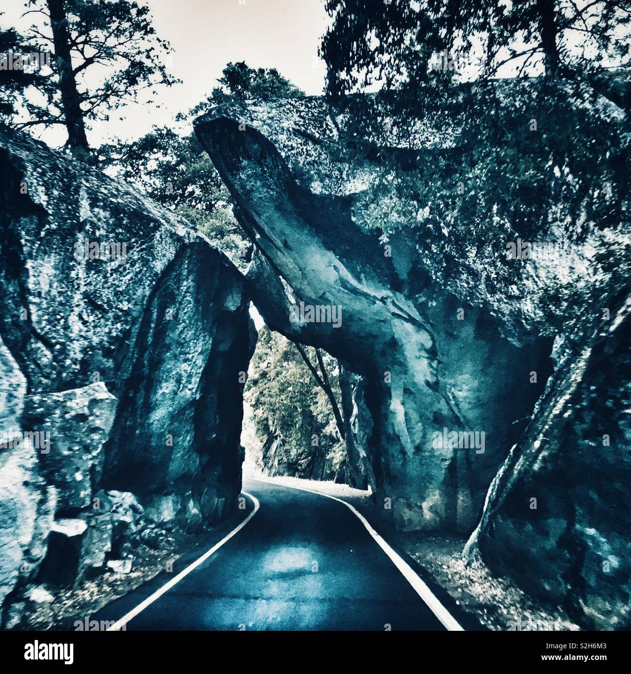Arch Rock ingresso al Parco Nazionale di Yosemite Foto Stock