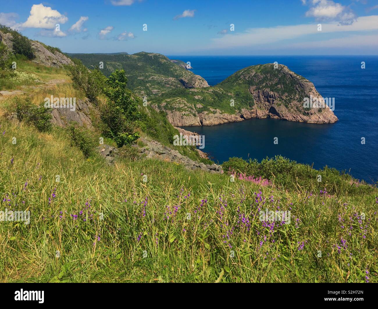 Signal Hill vista costiera in San Giovanni di Terranova in Canada Foto Stock
