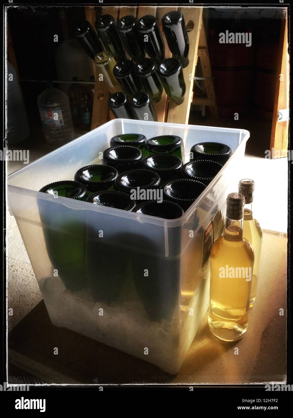 Il congelamento dei colli di bottiglie di spumante in casa vino pronto per la sboccatura , Catalogna, Spagna. Foto Stock