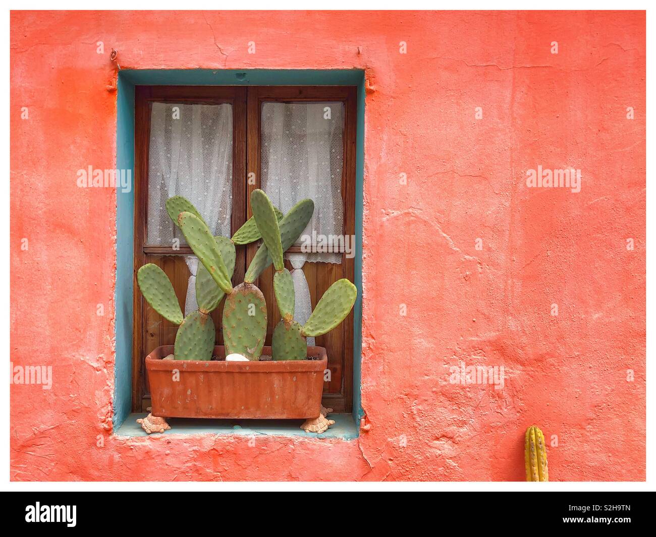 Muro di una casa arancione con finestra in legno con bordi in blu con impianto di terracotta pot e cactus Foto Stock