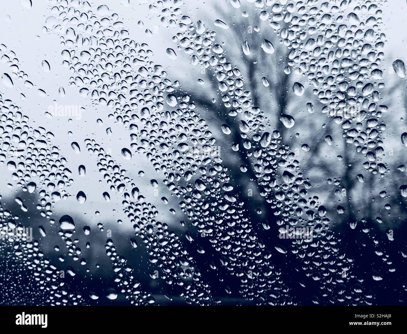 Acqua su una finestra con gli alberi al di fuori, giorno piovoso. Foto Stock
