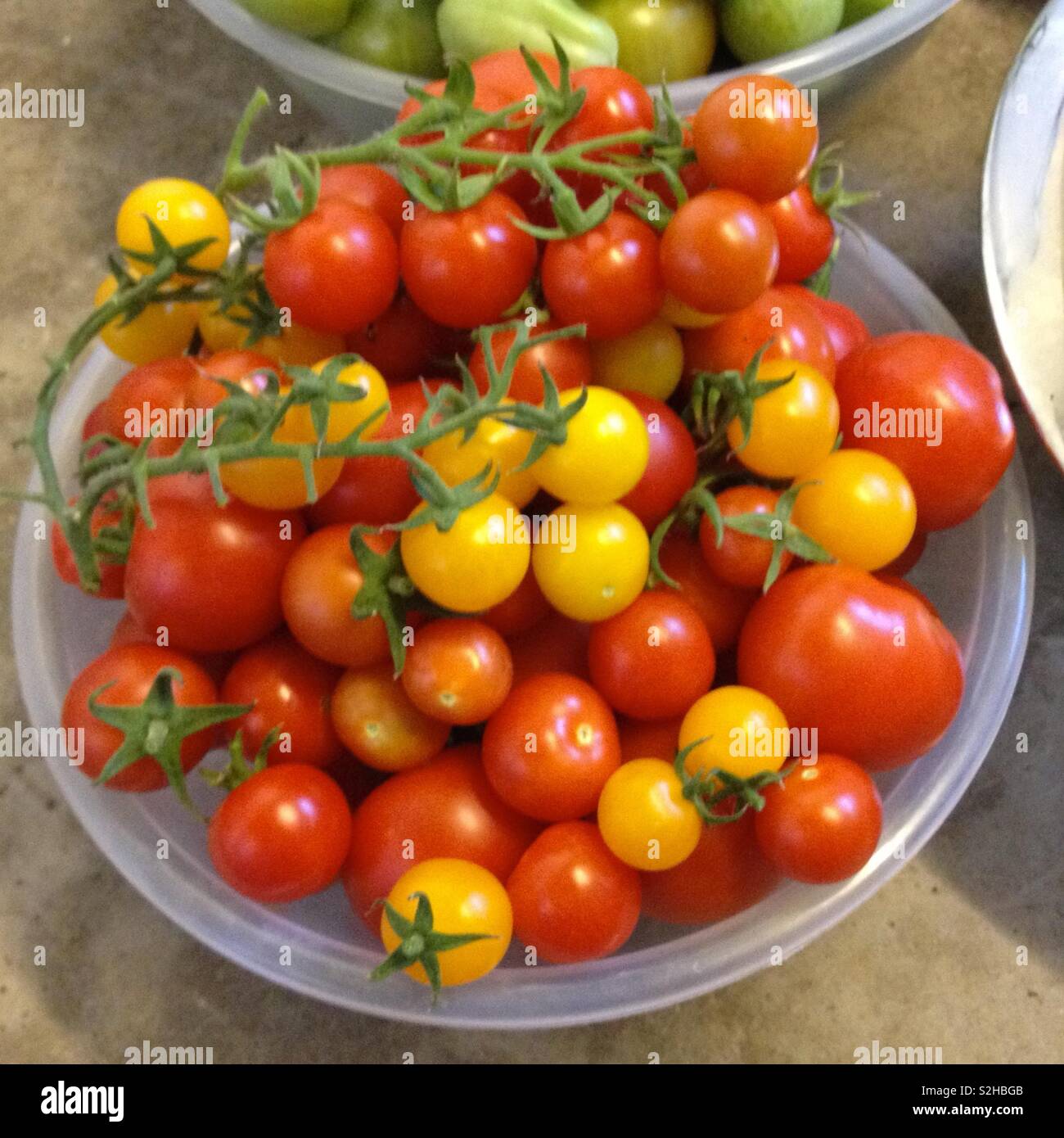 Ciotola di vigna stagionati rosso e giallo di pomodori. Foto Stock