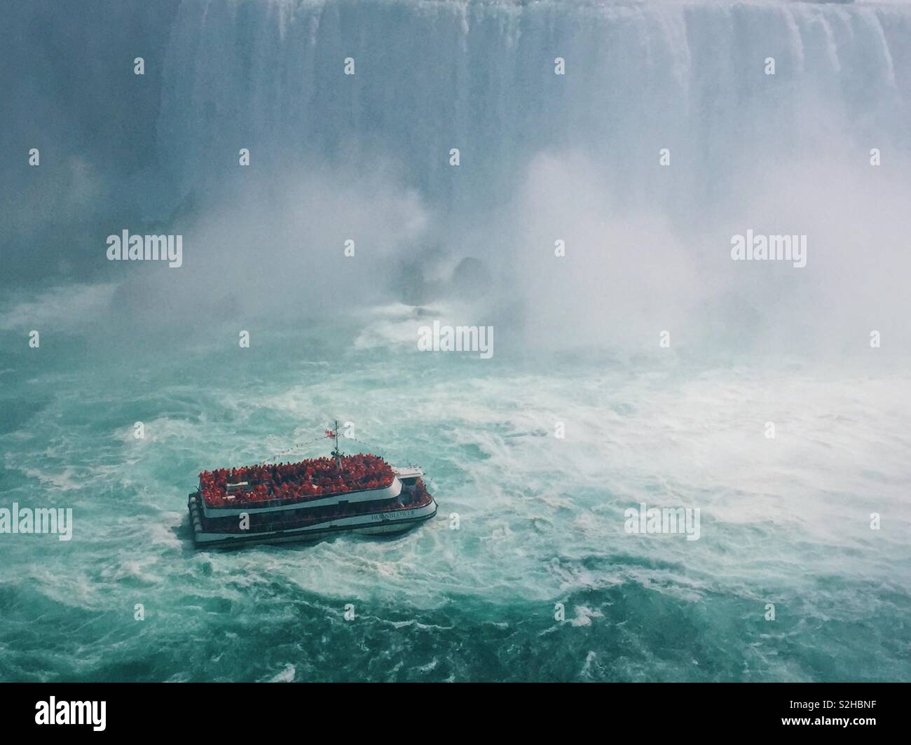 La Domestica della Foschia al fondo delle cascate del Niagara. Foto Stock