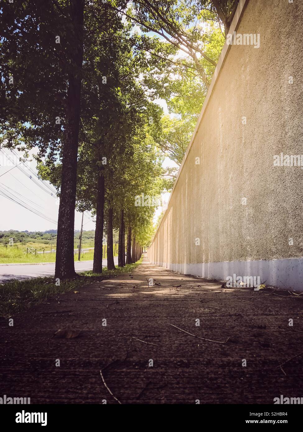 Il marciapiede tra la parete e gli alberi - Immagine stock catturata con smartphone