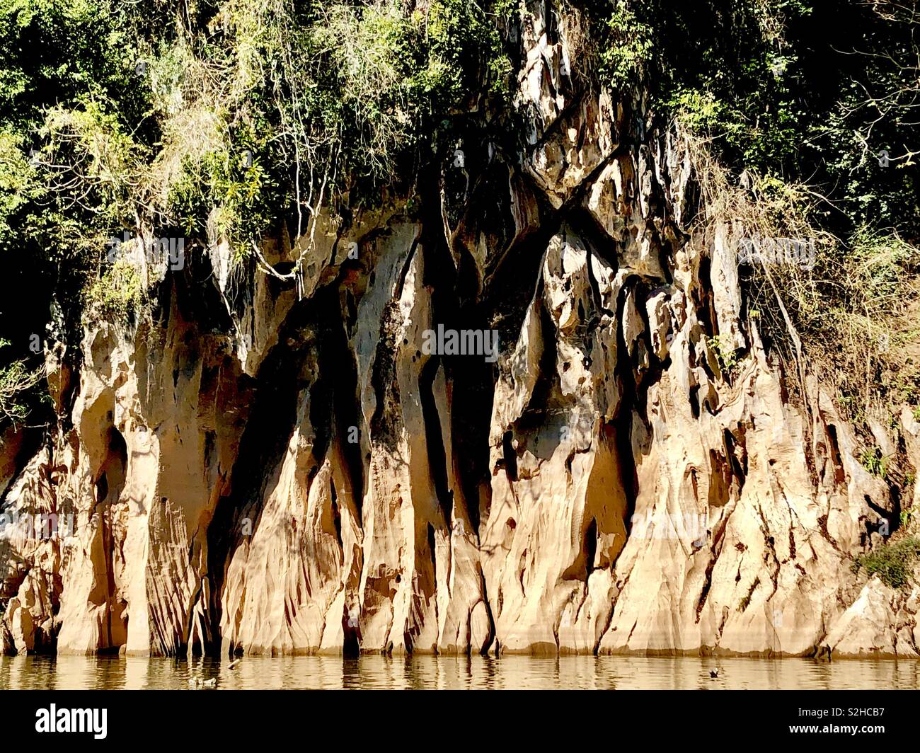 Chiudere fino sulla scogliera dettaglio a Pak Ou le grotte in Laos Foto Stock