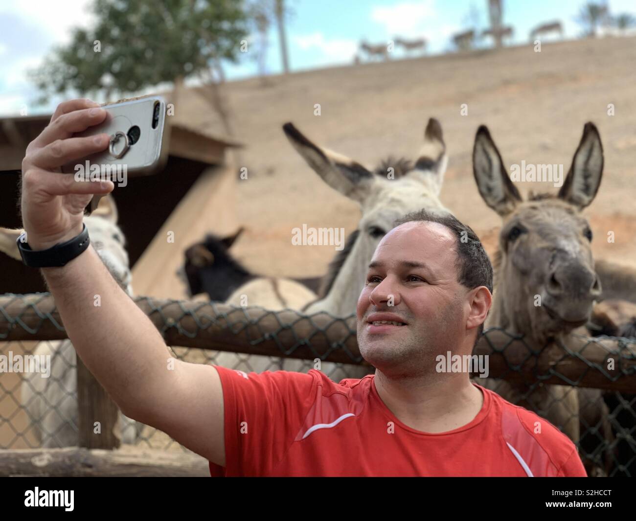 L'uomo prendendo un selfie con un asino Foto Stock