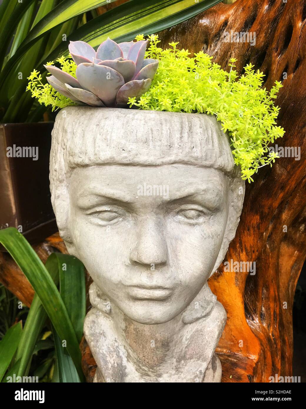 Un vaso di fiori con la forma di un adolescente greco con piante nella parte superiore della testa di Viveros de Coyoacán park di Mexico City, Messico Foto Stock