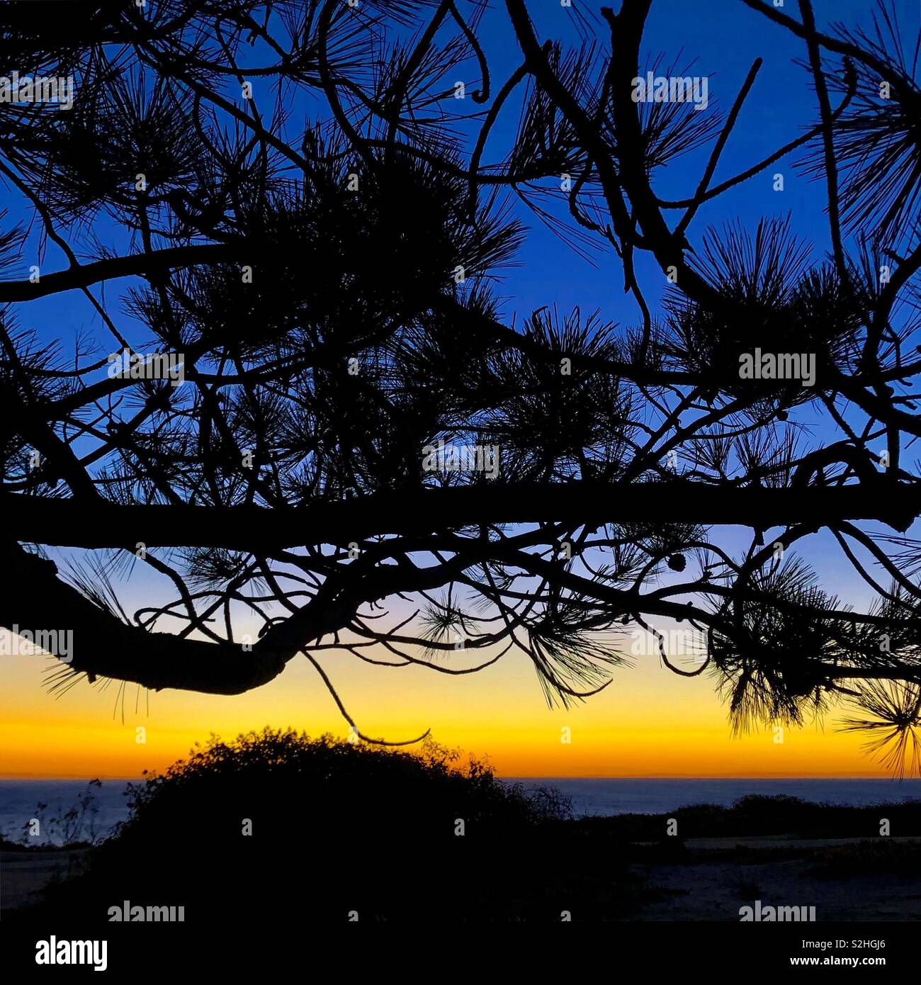 Torrey Pines State Reserve al tramonto Foto Stock