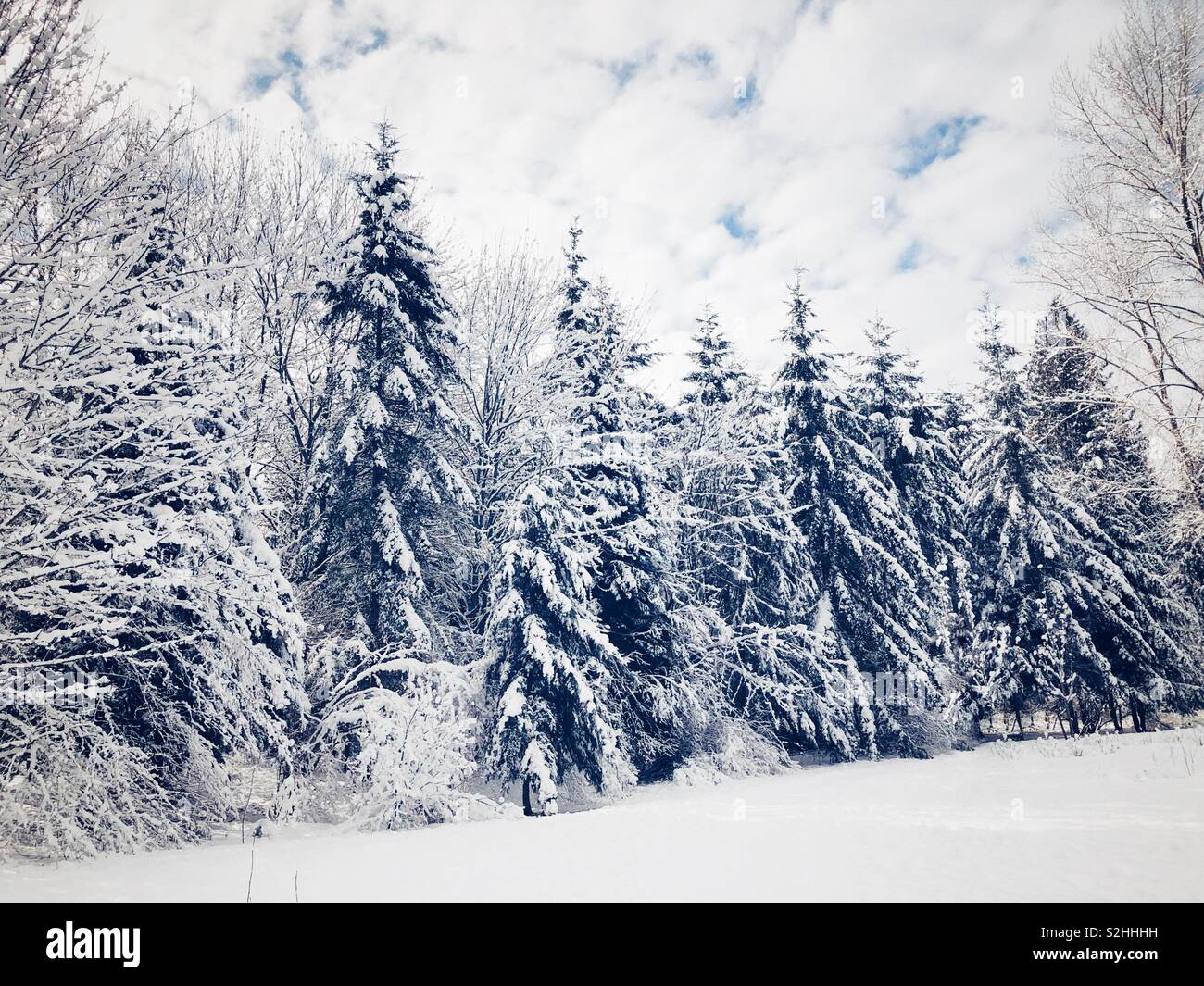 Favola invernale Foto Stock