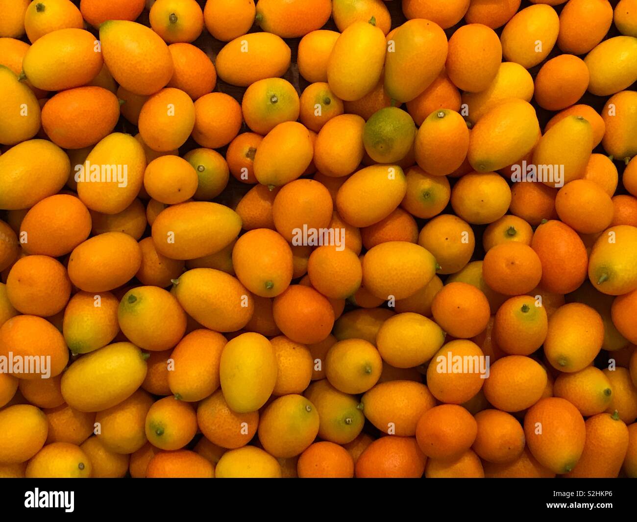 Un lotto di ripe, arancio kumquat frutti sono visualizzati sul display in un mercato di generi alimentari producono bin. Foto Stock