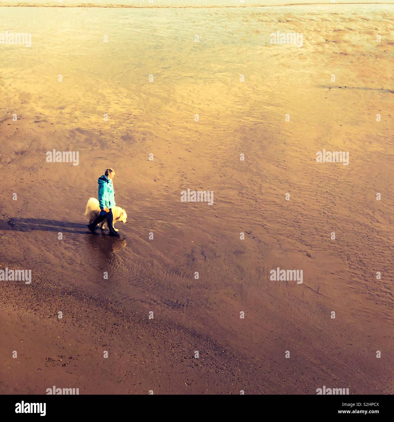 La donna a piedi un cane lungo un quasi deserta spiaggia nella luce dorata Foto Stock