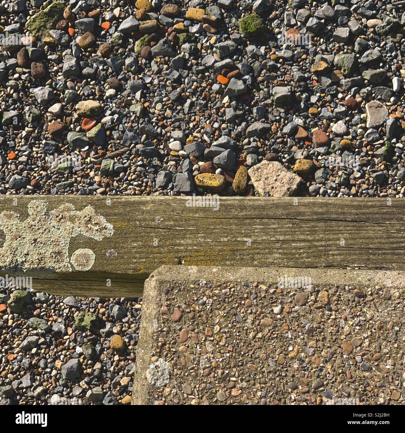 Legname di spiaggia Foto Stock