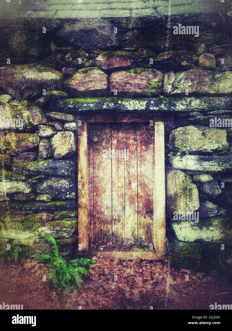 Porta di legno in un muro di pietra con muschio, licheni e felci. Foto Stock