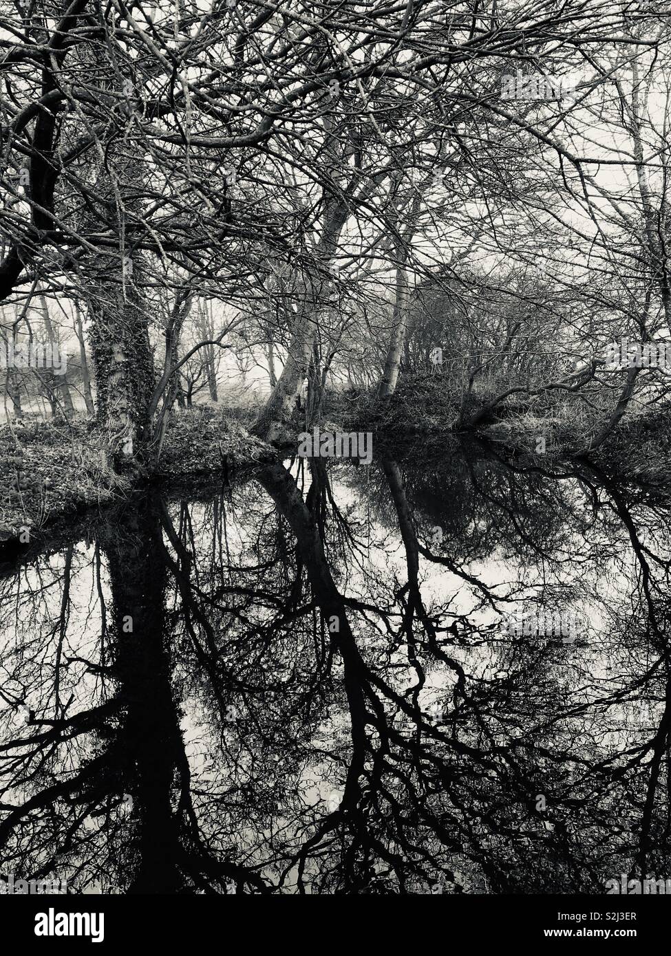 Riflessioni in stagno. Bethersden, Kent Foto Stock