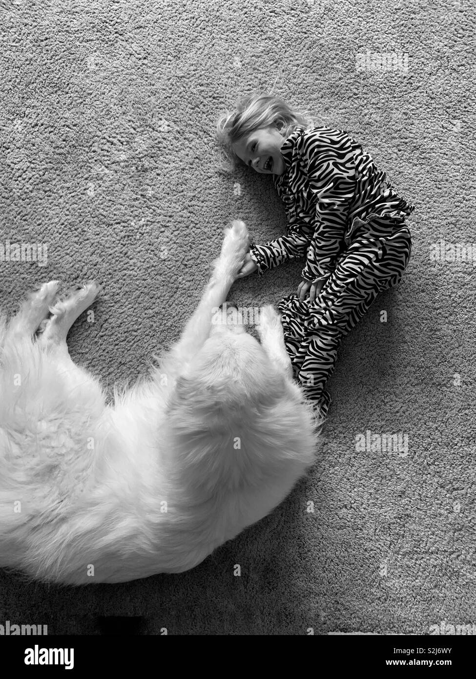 La ragazza di zebra striped pigiami e un bianco grande Pirenei cane posa sul pavimento ridendo. Foto Stock