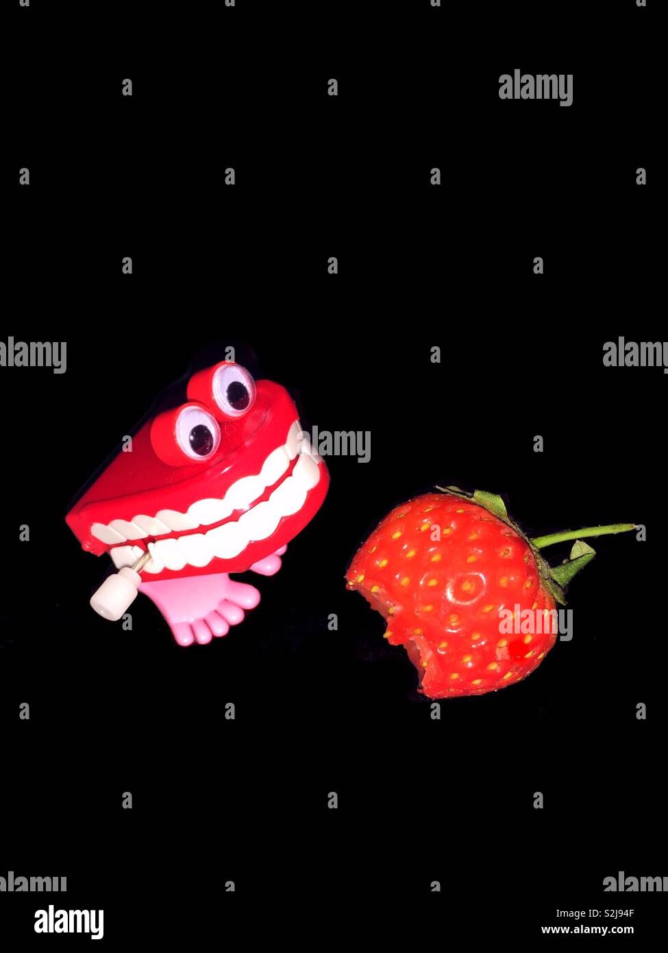 I denti di plastica con un fresco Fragole prendendo un morso. Denti sani e denti finti. Mangiare cibi zuccherini e carie. Deve spazzola con spazzolino e dentifricio - Immagine stock catturata con smartphone