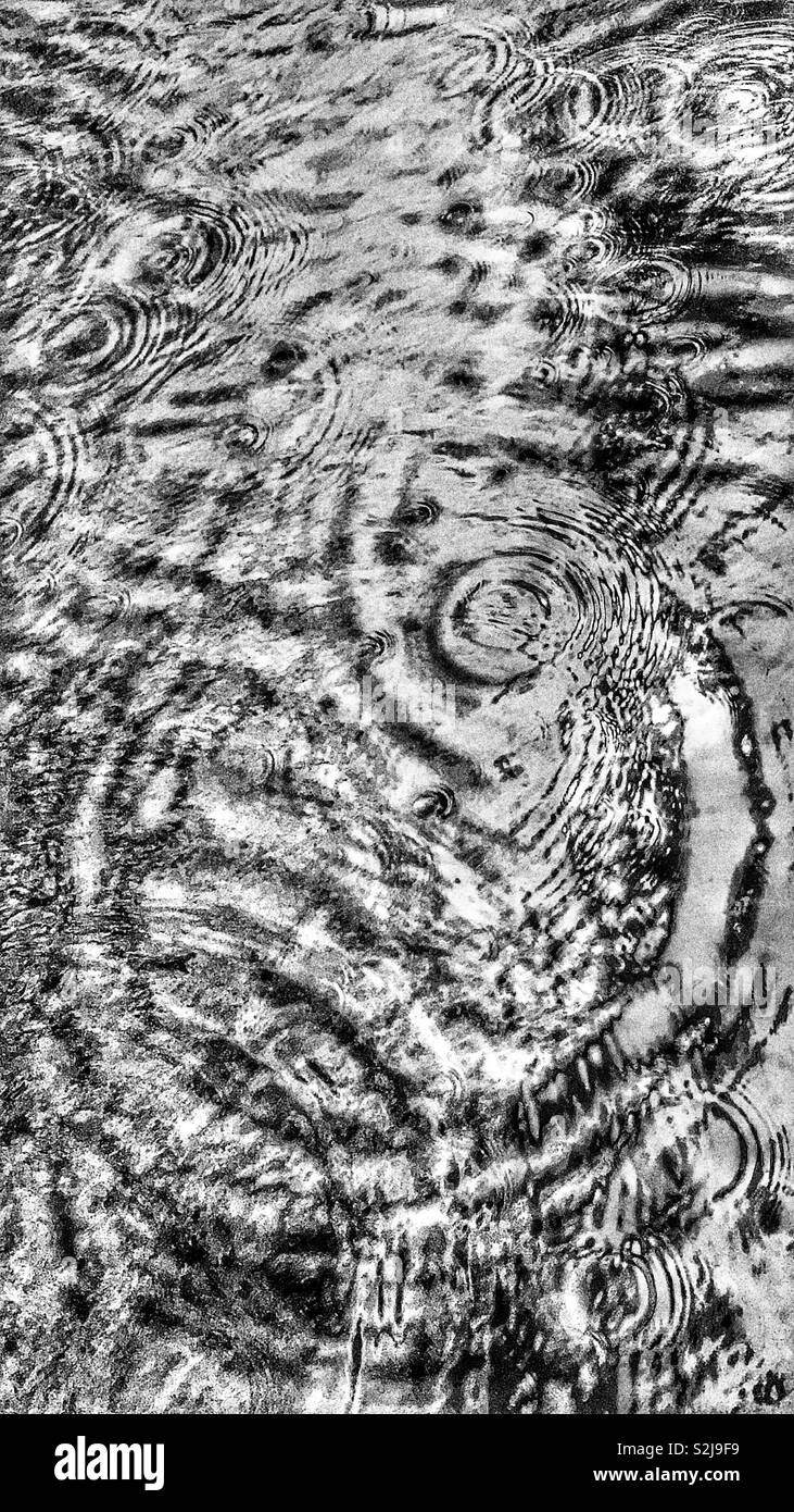 Le gocce di pioggia e di ondulazioni su stagno nel Kent, Inghilterra. Marzo 2019. - Immagine stock catturata con smartphone