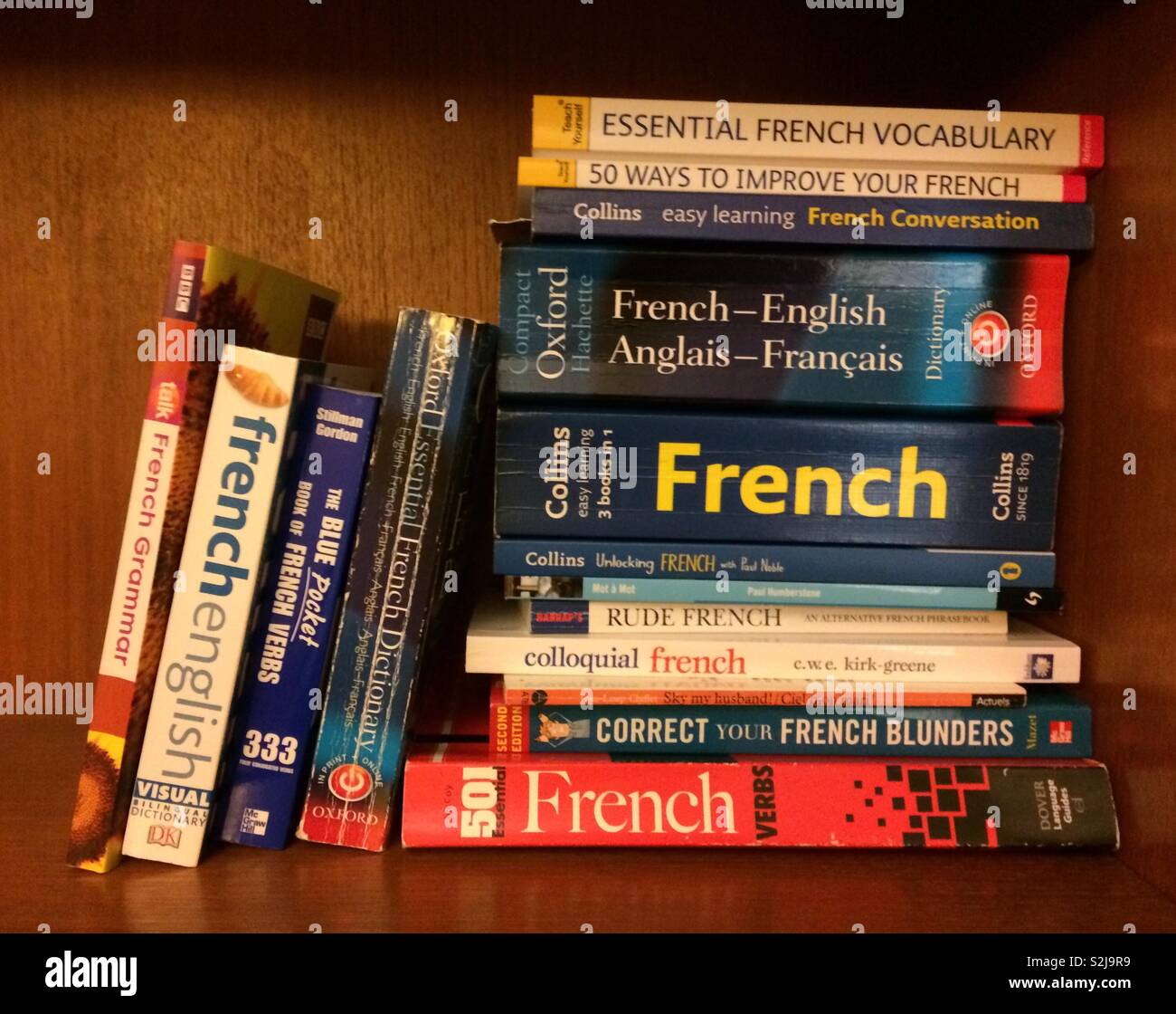 Libri di lingua su uno scaffale per studiare il francese. Includono libri grammaticali, dizionari, libri di frasi e raccolte di verbi. Ci sono anche uno o due libri umoristico per usare il francese informale. Foto Stock