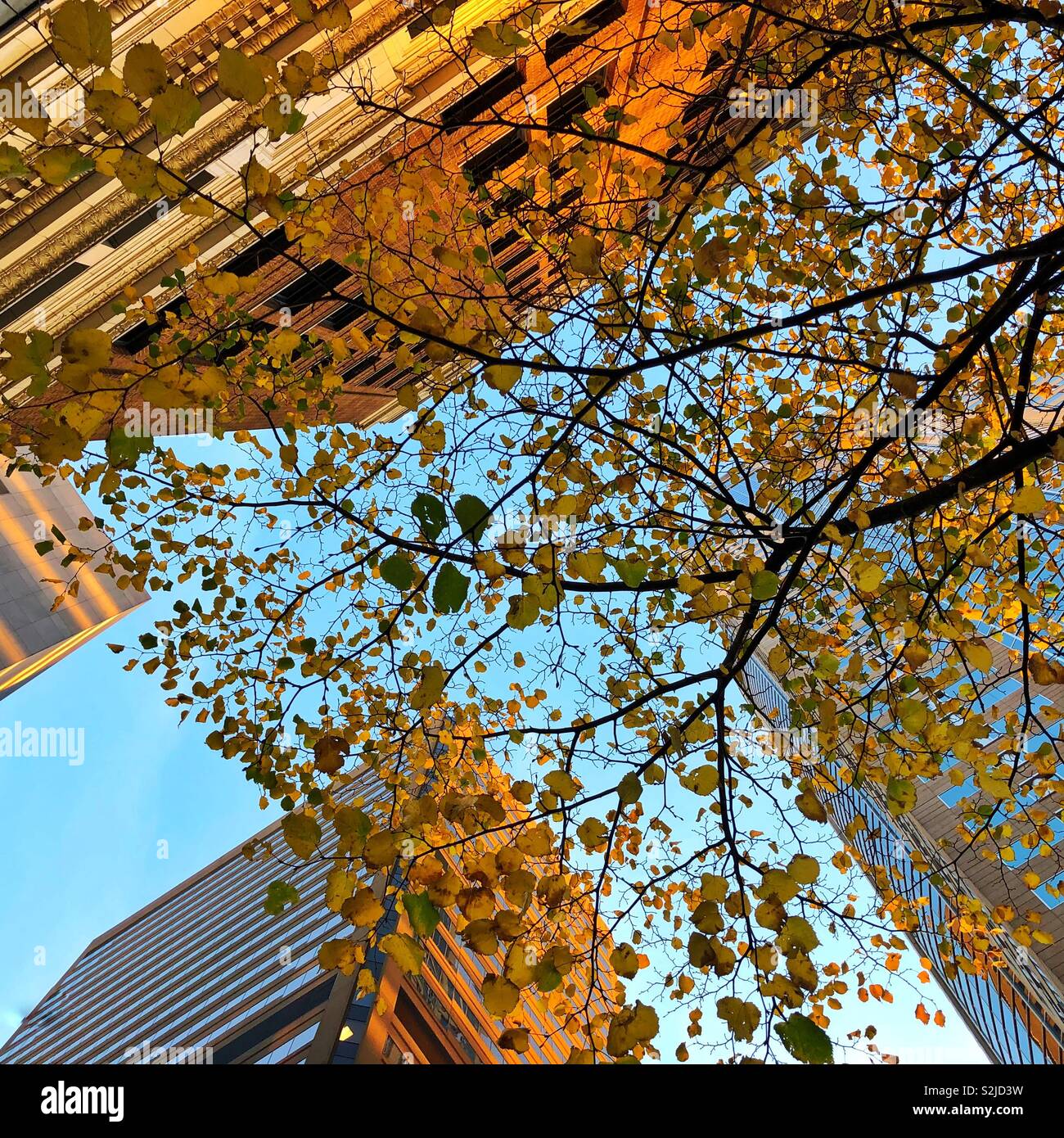 Gli ultimi raggi di sole touch grattacieli di Seattle Foto Stock