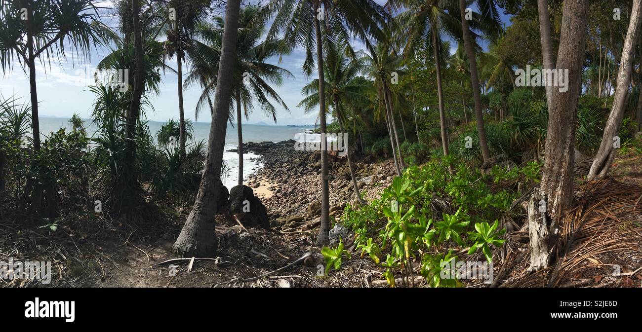 Spiaggia appartata e palme in Koh Lanta, Thailandia. Foto Stock