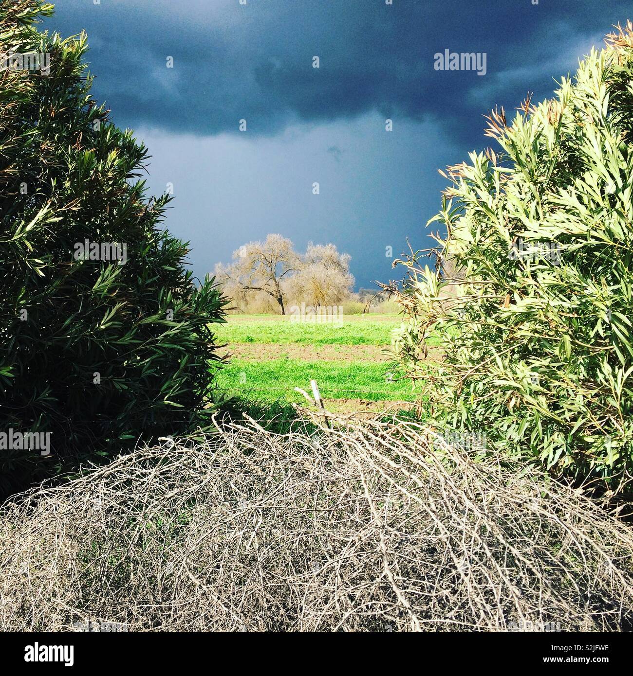 Illuminazione drammatica sotto il cielo tempestoso vicino a Fresno, California, Stati Uniti Foto Stock
