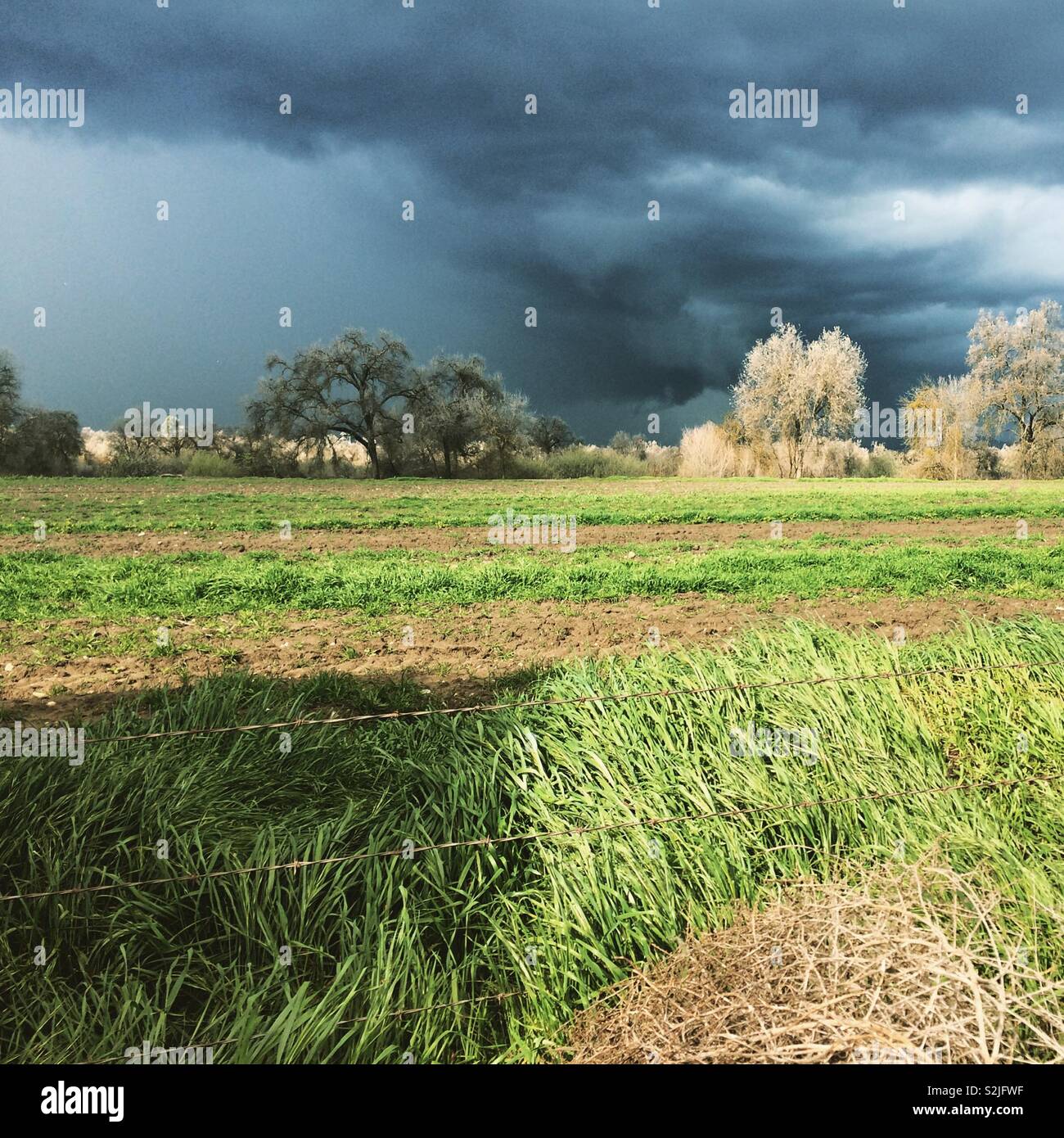 Illuminazione drammatica sotto il cielo tempestoso vicino a Fresno, California, Stati Uniti Foto Stock
