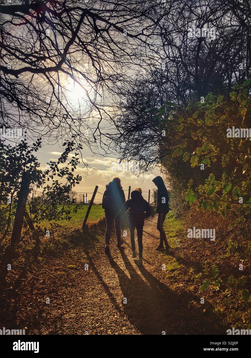 La famiglia (madre e due figli) passeggiate lungo il percorso del paese retroilluminati da Sun e colata ombre lunghe Foto Stock