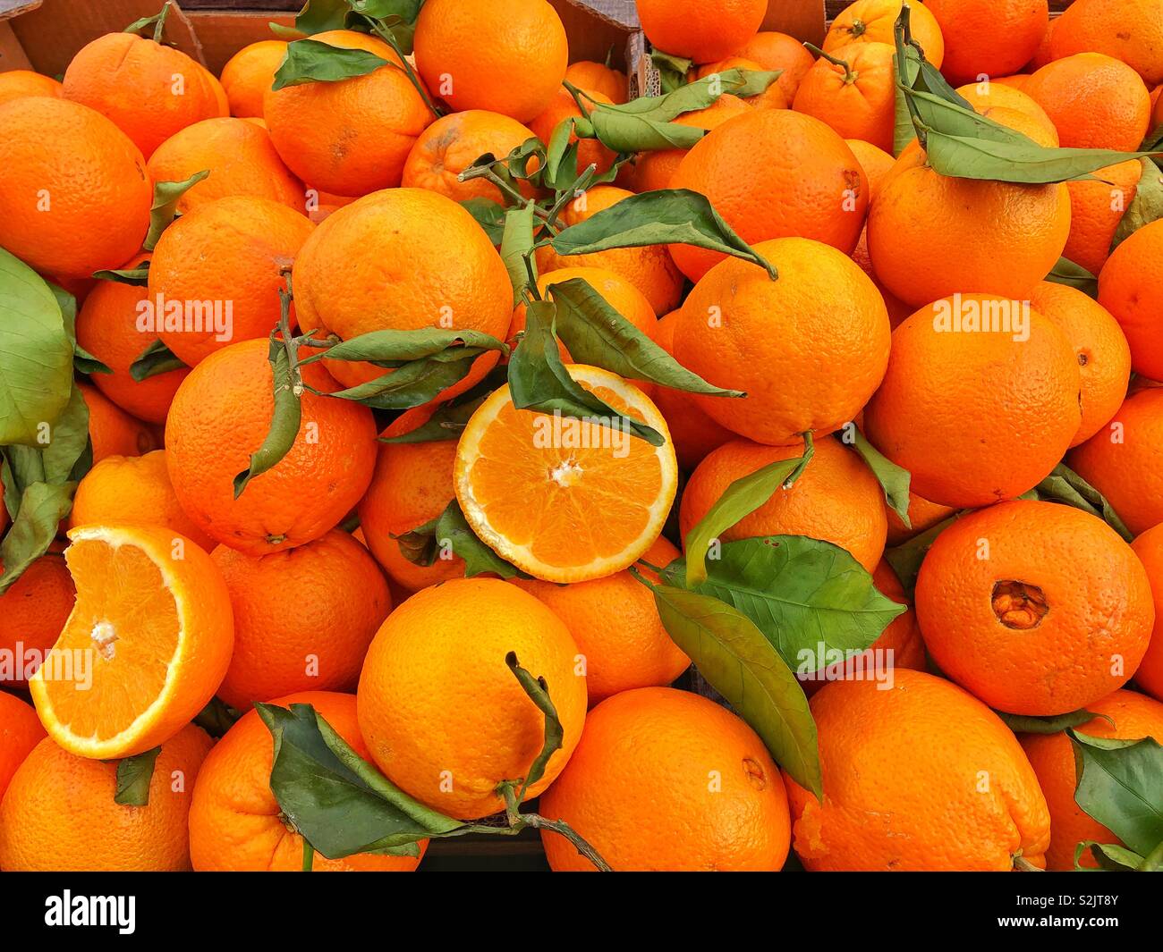 Arance fresche per la vendita in un mercato francese Foto Stock