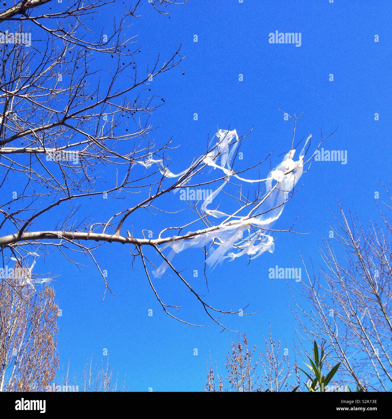 Inquinamento di plastica - Immagine stock catturata con smartphone