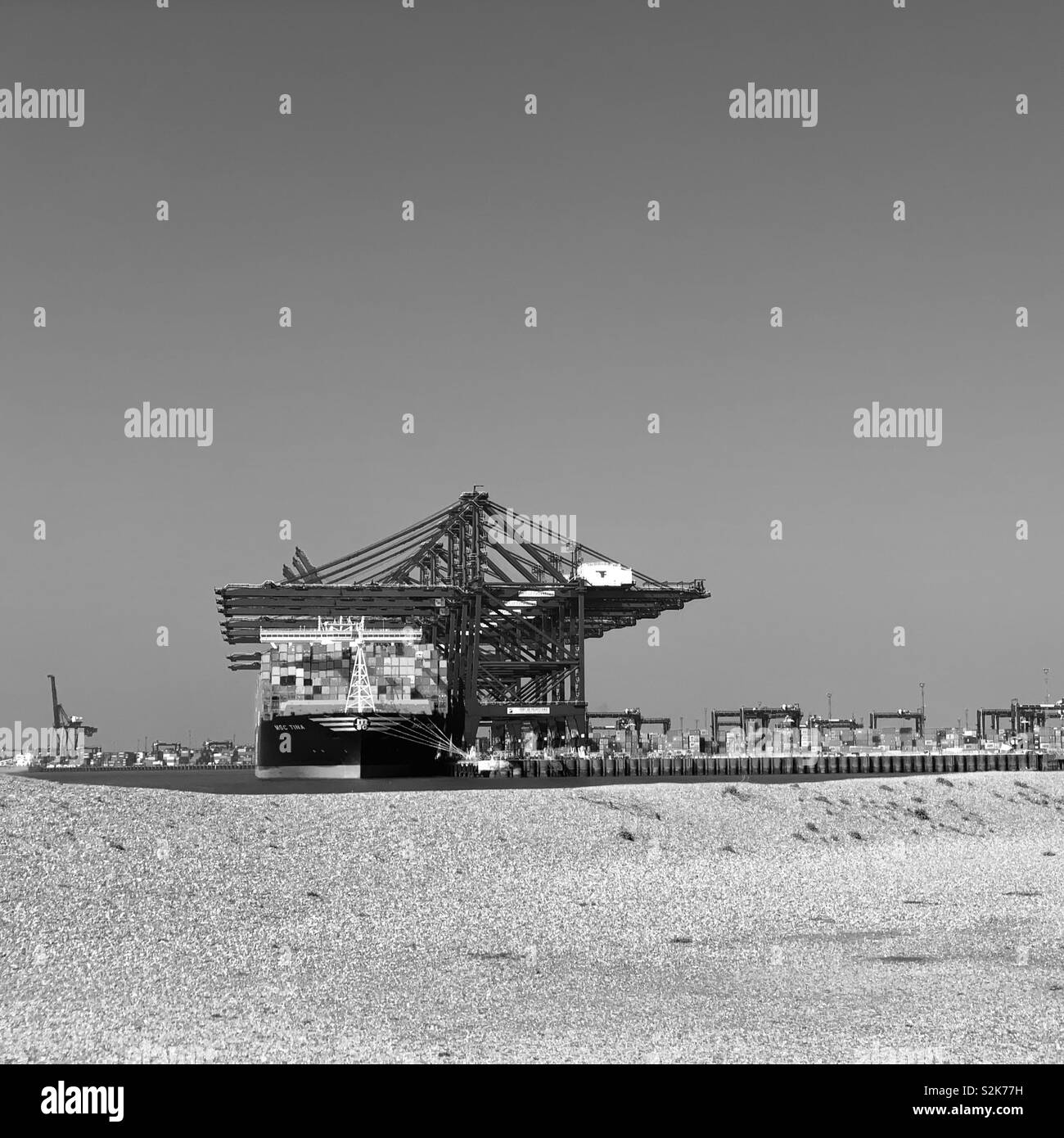 MSC Tina nave container del porto di Felixstowe, Suffolk, Regno Unito. Il 29 marzo 2019. - Immagine stock catturata con smartphone