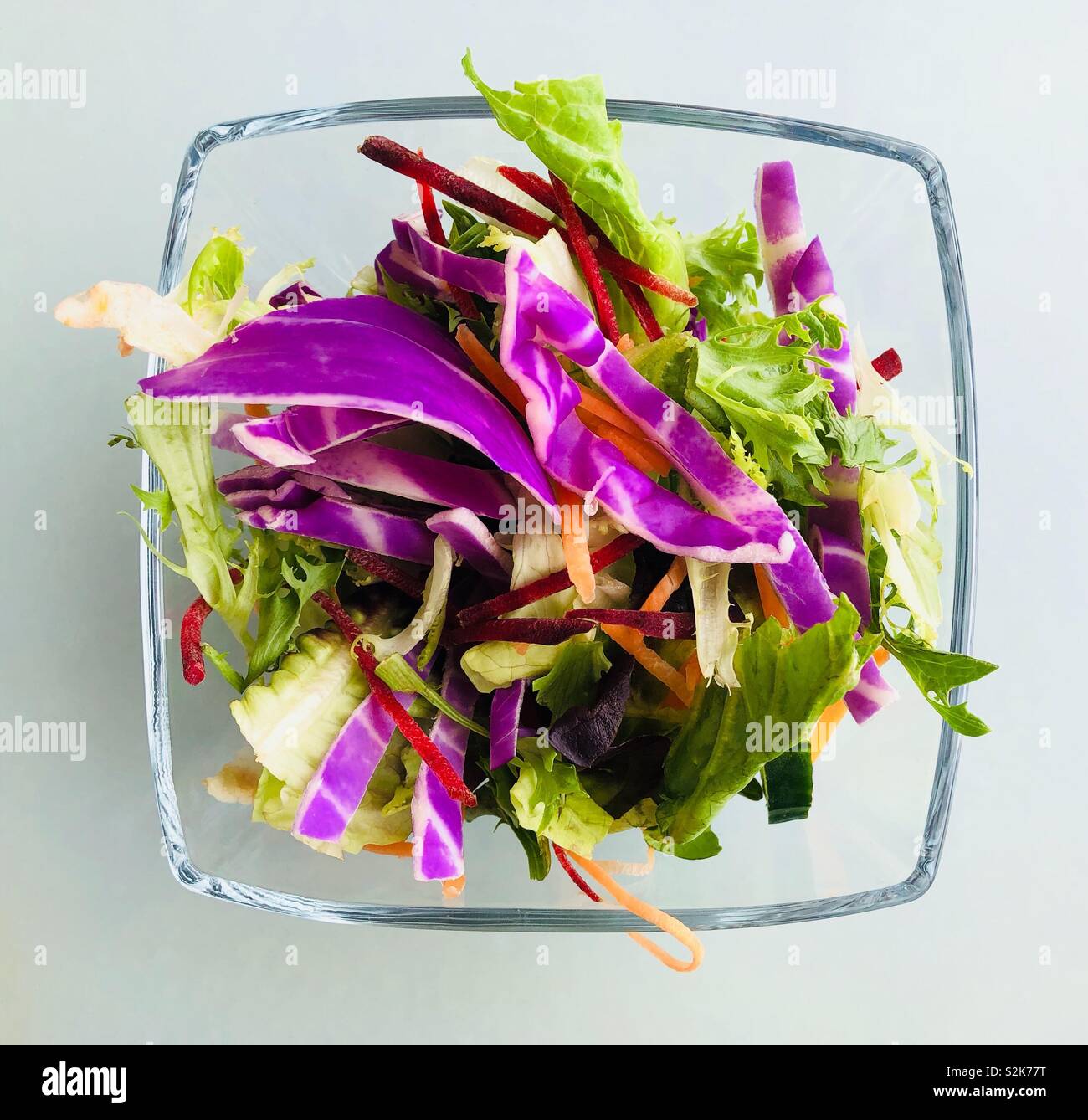 Giardino con insalata di cavolo cappuccio rosa - Immagine stock catturata con smartphone