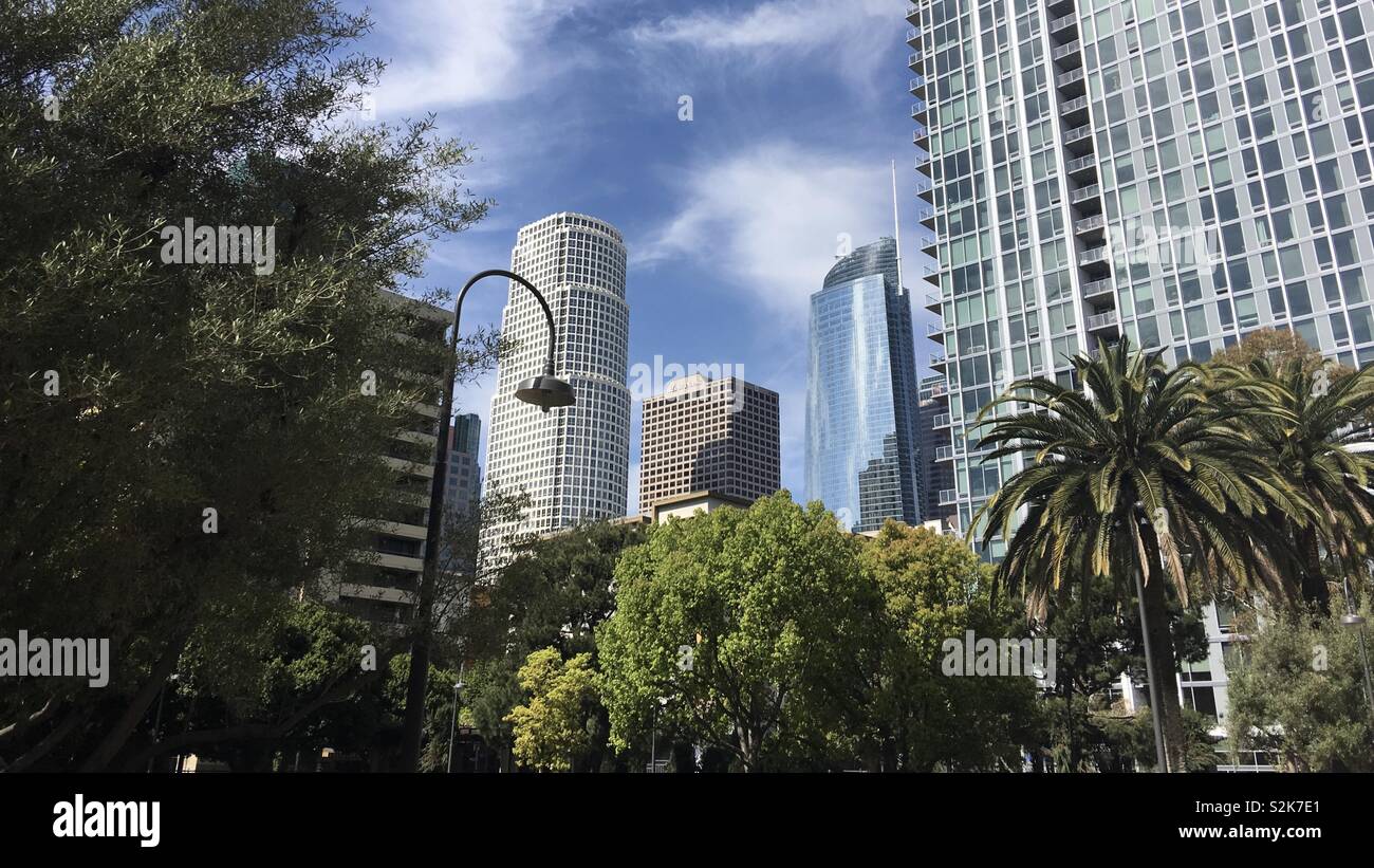 LOS ANGELES, CA, Marzo 2019: gli alberi e i grattacieli nel centro cittadino. Blue Skies con alcune nuvole bianche Foto Stock